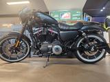Harley-Davidson Sportster XL 883 N Iron - Offers