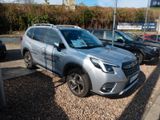 Subaru Forester Platinum 2.0 ie  Vorführwagen! - Subaru in Bremen