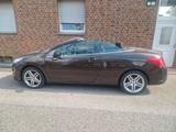 Peugeot 308 CC Tendance 120 VTi Tendance - Peugeot 308 Tendance mit Benzin-Antrieb