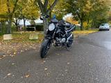 Suzuki SFV 650 Gladius - SUZUKI GLADIUS SFV 650