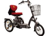 Van Raam Easy Go 2021 - Größe: Uni - Van Raam E-Bikes