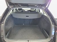Skoda Octavia - Vorschau Bild 11