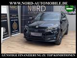 Skoda Karoq 2.0 TDI 4x4 Sportline DSG Virt.Cockp/Kamer - Skoda Karoq in Oldenburg