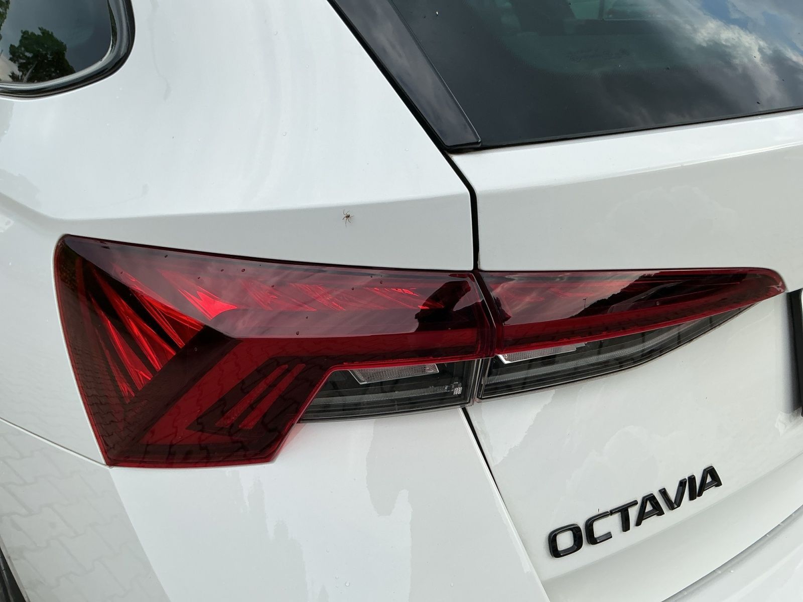 Skoda Octavia - Bild 17
