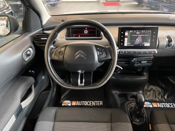 Citroën C4 Cactus W-OneTone *NAVI*SZHZ*AHK*TEMPOMAT*PDC*
