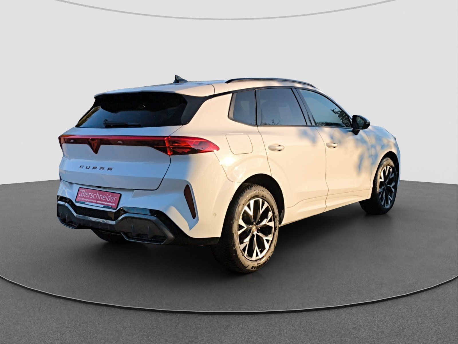 Cupra Terramar - Bild 9