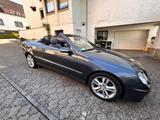 Mercedes-Benz CLK 200 KOMPRESSOR AVANTGARDE AVANTGARDE - Mercedes-Benz aus 2009: Cabrio, Clk