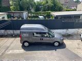 Fiat Doblo Maxi XL Hochdach Cargo Camper W... - Fiat Doblo: Hochdach