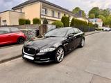 Jaguar XJ Premium Luxury 3.0 V6 Diesel S Premium Luxury - Jaguar XJ von privat