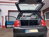Volkswagen Lupo 1.0 BASIS Basis - Volkswagen Lupo mit Panoramadach