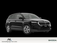 Skoda Karoq - Vorschau Bild 1