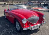 Austin Healey Andere