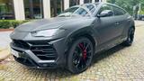 Lamborghini Urus Garantie matt sw foliert Mod. 2022 - Lamborghini Urus Gebrauchtwagen in Hamburg
