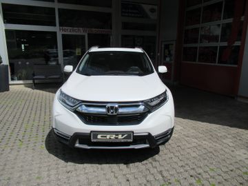 Bild 2 Honda CR-V 1.5 T 4WD Executive Navi Pano AHK BT