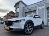 Mazda CX-30 SKYACTIV 2WD HUD+Navi+LED+Winterpaket+ACC - Mazda CX-30 Gebrauchtwagen