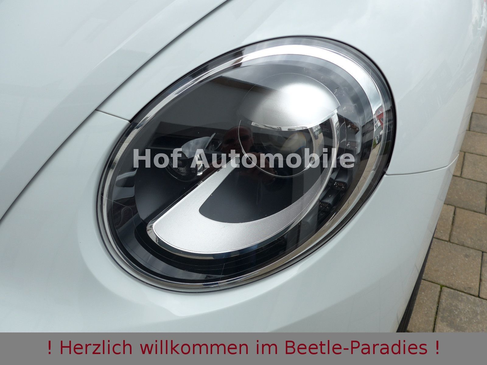 Volkswagen Beetle 1.2TSI Allstar Plus Xenon Leder Fender foto 13
