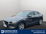 Mazda CX-30 2.0 SKYACTIV-G M Hy. Selection ACC HuD - Mazda CX-30 in Essen