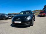 Volkswagen Beetle Lim. Basis BMT - Volkswagen Beetle: Sportwagen