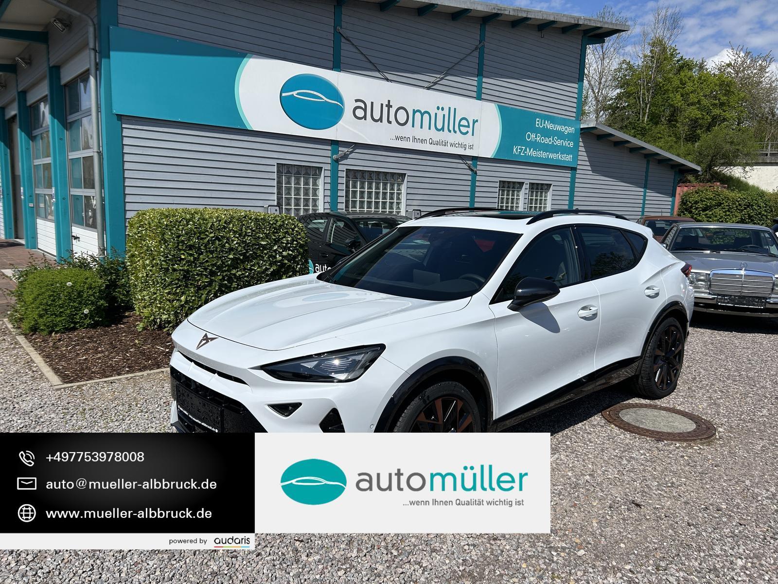 Cupra Formentor VZ 2.0 TSI 245 kW 4Drive  DSG AHK Pano