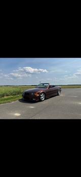 BMW Bmw e36 325i Cabrio Mpaket Rostfrei Oldtim... - BMW 325: E36 325i