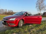 Ford Focus CC 1,6 Cabrio Rot - Ford Focus: Cc