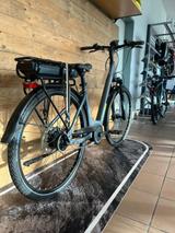 Trenoli Brenta Comodo - Trenoli E-Bikes