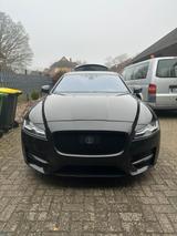 Jaguar XF (X260) 3.0d - Jaguar XF X260