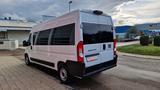 Fiat Ducato 9 Sitzer Systemboden Rolli Stock - Reisebus Sitze