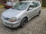 Nissan Almera Tino - Nissan Almera Tino Kombi Gebrauchtwagen