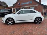 Volkswagen Beetle Lim. Club BMT/NAVI/ - Volkswagen Beetle: Kleinwagen