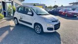 Fiat Panda Lounge Automatik Pano Klima Alu TÜV PDC - Fiat in Nürnberg