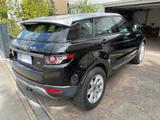 Land Rover Range Rover Evoque 2.2 TD4 Pure  - Land Rover Range Rover Evoque: Td4