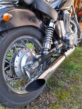 Suzuki Savage LS 650 - Angebote entsprechen deinen Suchkriterien
