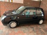 Volkswagen Lupo 1.0 Rave Princeton - gebrauchte VW Lupo aus dem Jahr 2004