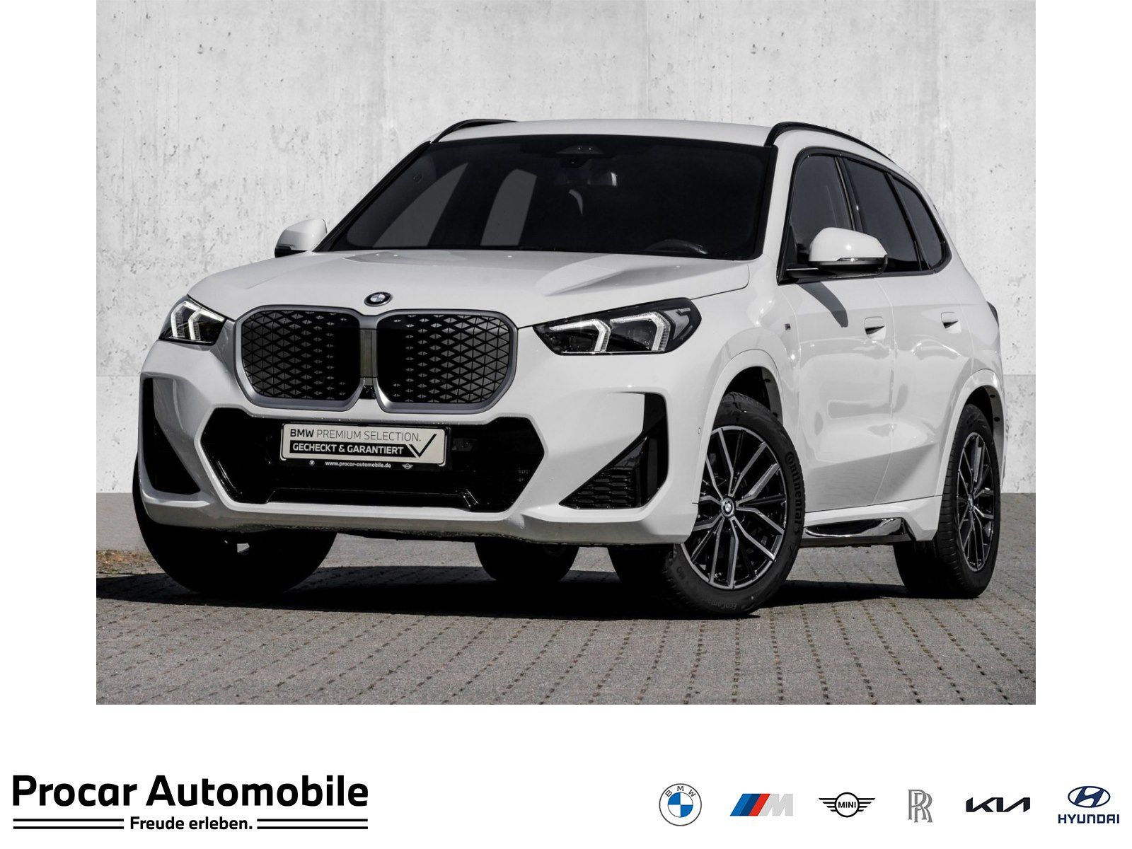 BMW iX1 xDrive30 M Sport HUD ACC AHK RFK NAVI LED