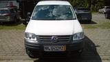 Volkswagen Caddy Kasten 1,4 - Lkw Zulassung HU neu - Volkswagen Caddy: Lkw Zulassung