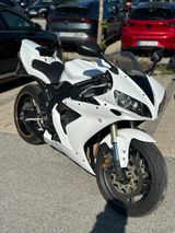 Yamaha R1 rn12 / Shark  - YAMAHA 2005 R1