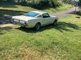 Ford 1965 Ford Mustang GT Fastback | 289 V8 A-Code |  - Ford Mustang aus 1965: Coupe