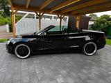 Audi A5 3.0 TDI (DPF) S tronic quattro Cabriolet - - Audi A5 aus 2011: Cabrio