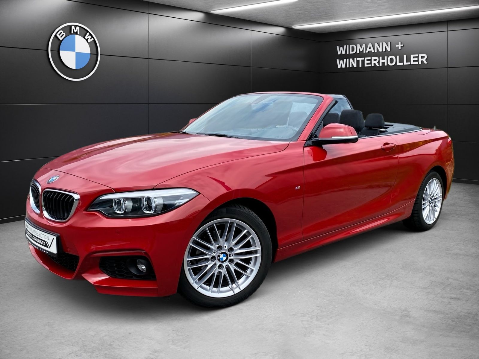 BMW 218i Cabrio M Sport M Sport Navi Prof. HiFi AHK