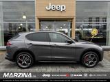 Alfa Romeo Stelvio Veloce Q4 2.0 Turbo 16V Sportpaket AHK-e - Alfa Romeo Stelvio Neuwagen