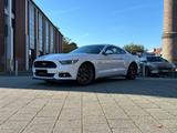 Ford Mustang 5.0 V8 GT RECARO/SHAKER/GRAIL - Ford Mustang in Osnabrück