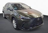 Lexus NX 350h Business Line*KAMERA*LEDER*ACC - Lexus NX Business