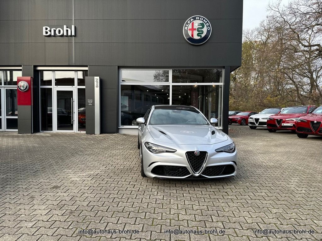 Auto Einstiegsleisten Türschweller für Alfa Romeo Giulia