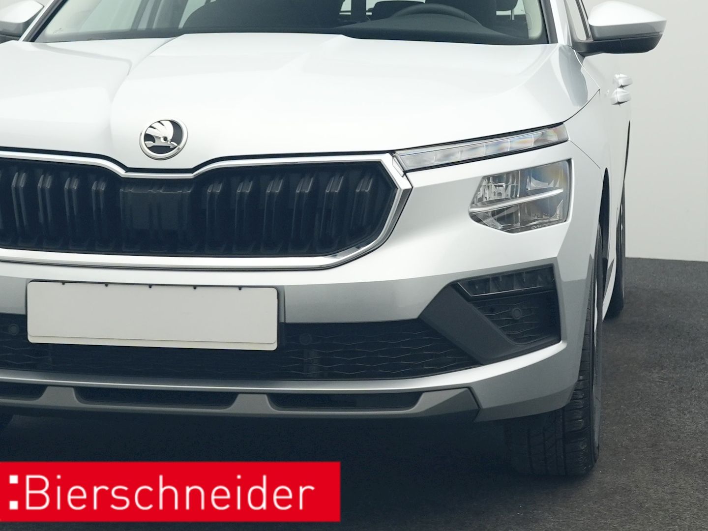 Skoda Kamiq - Bild 21