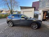 Mazda CX-30 1.8 SKYACTIV-D Selection Selection - Mazda CX-30 Diesel Gebrauchtwagen
