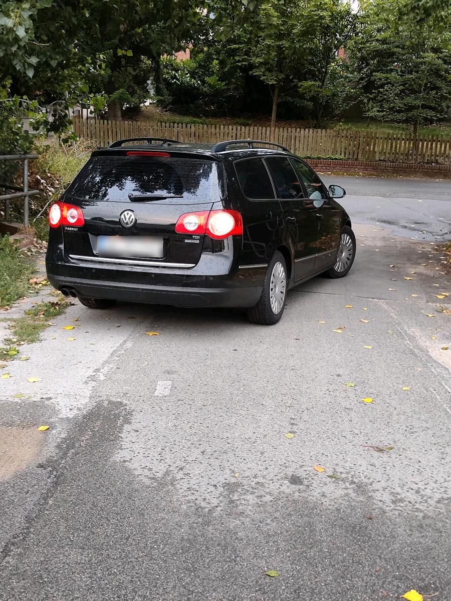 Volkswagen Passat 2010 — rear view