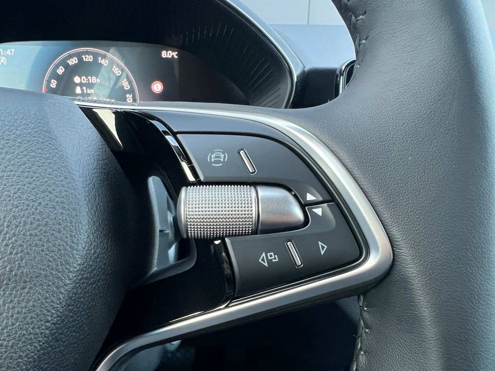 Fahrzeugabbildung SKODA Fabia Selection 1.0 TSI DSG *Garantie, WinterPlu