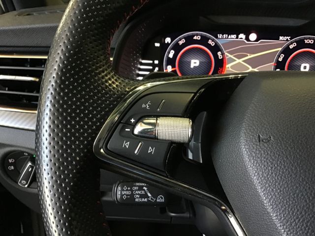 Fahrzeugabbildung Skoda Kamiq Monte Carlo 1.5 TSI DSG/Navi/Pano/RFK/ACC
