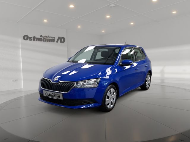 Skoda Fabia 1.0 TSI Cool Plus SHZ DAB+ Klimaanlage